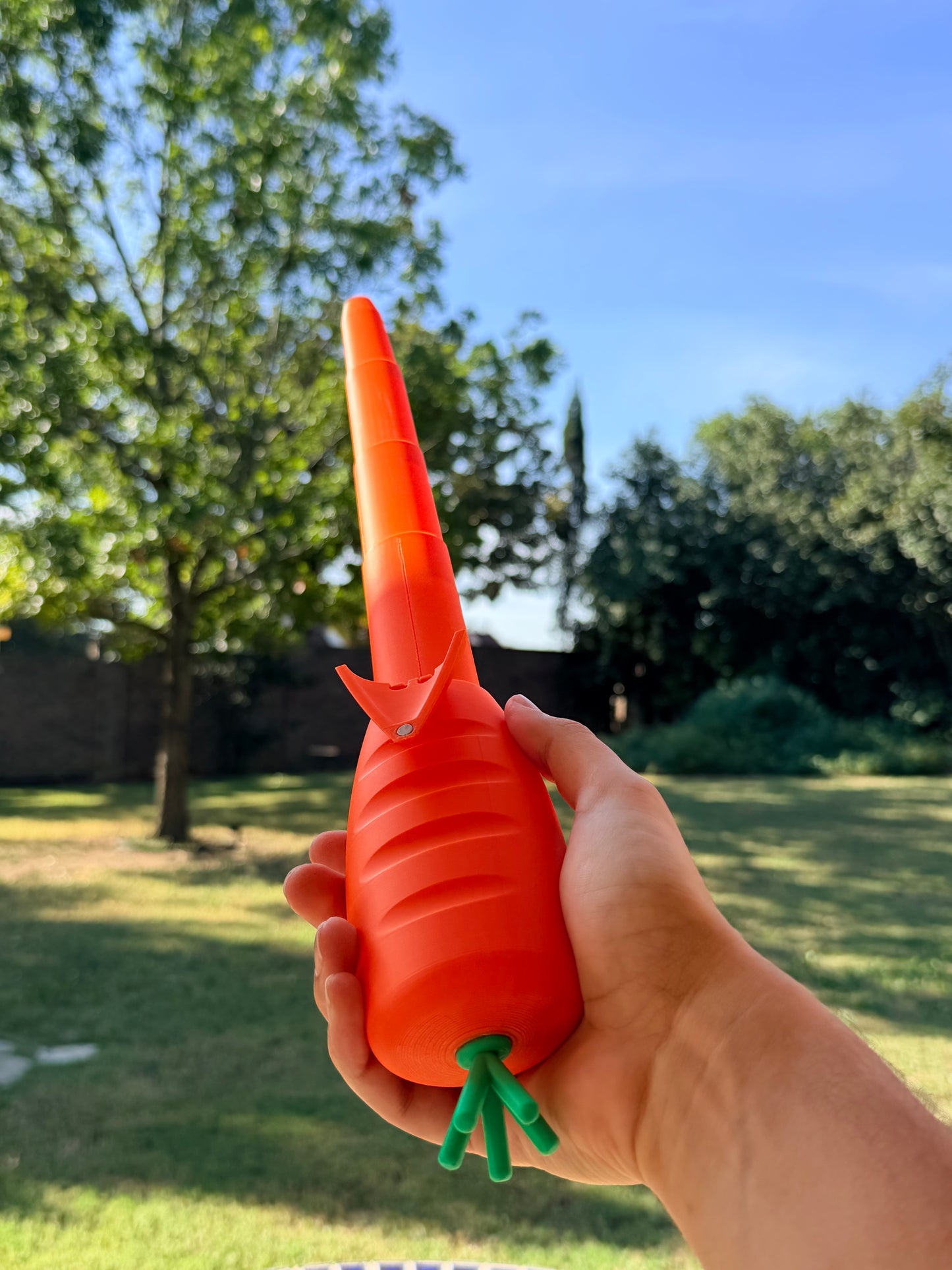 THE Carrotord!