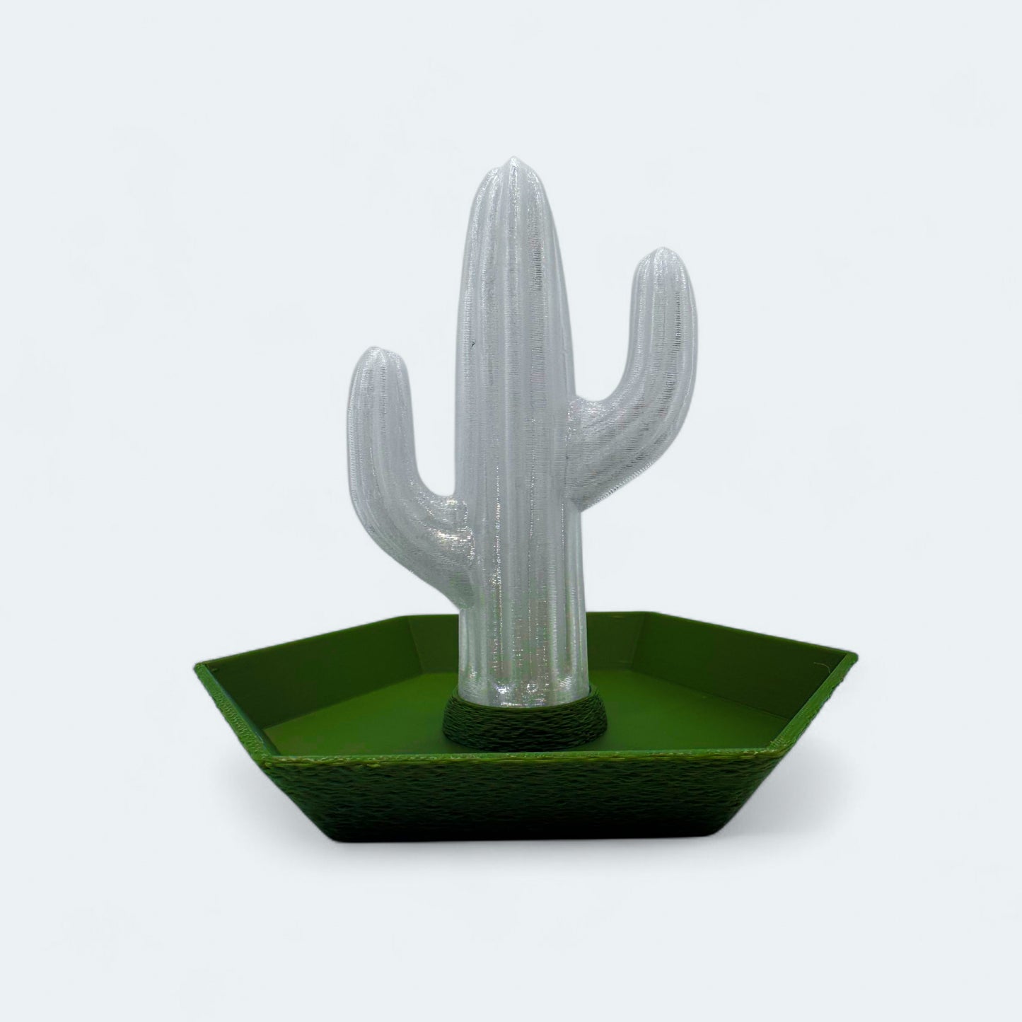 Cactus Jewelry Tray