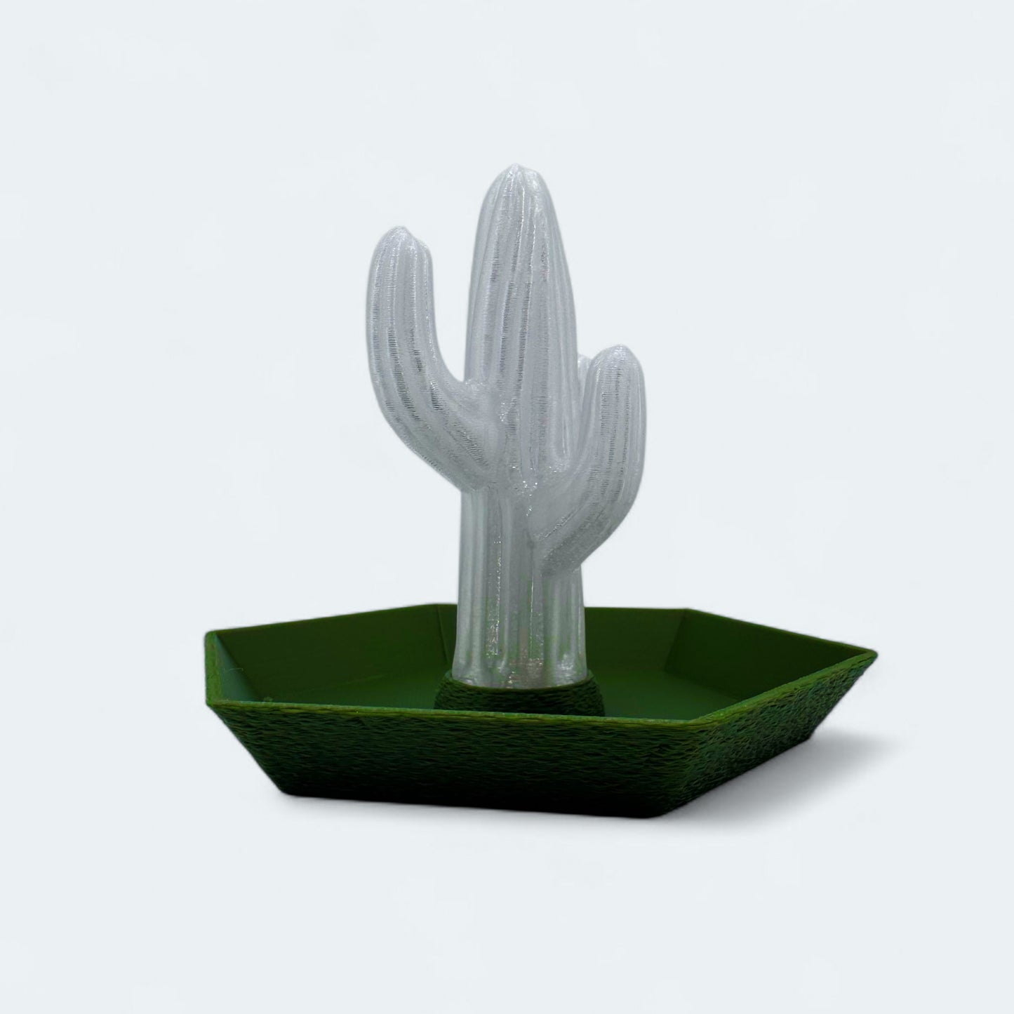 Cactus Jewelry Tray